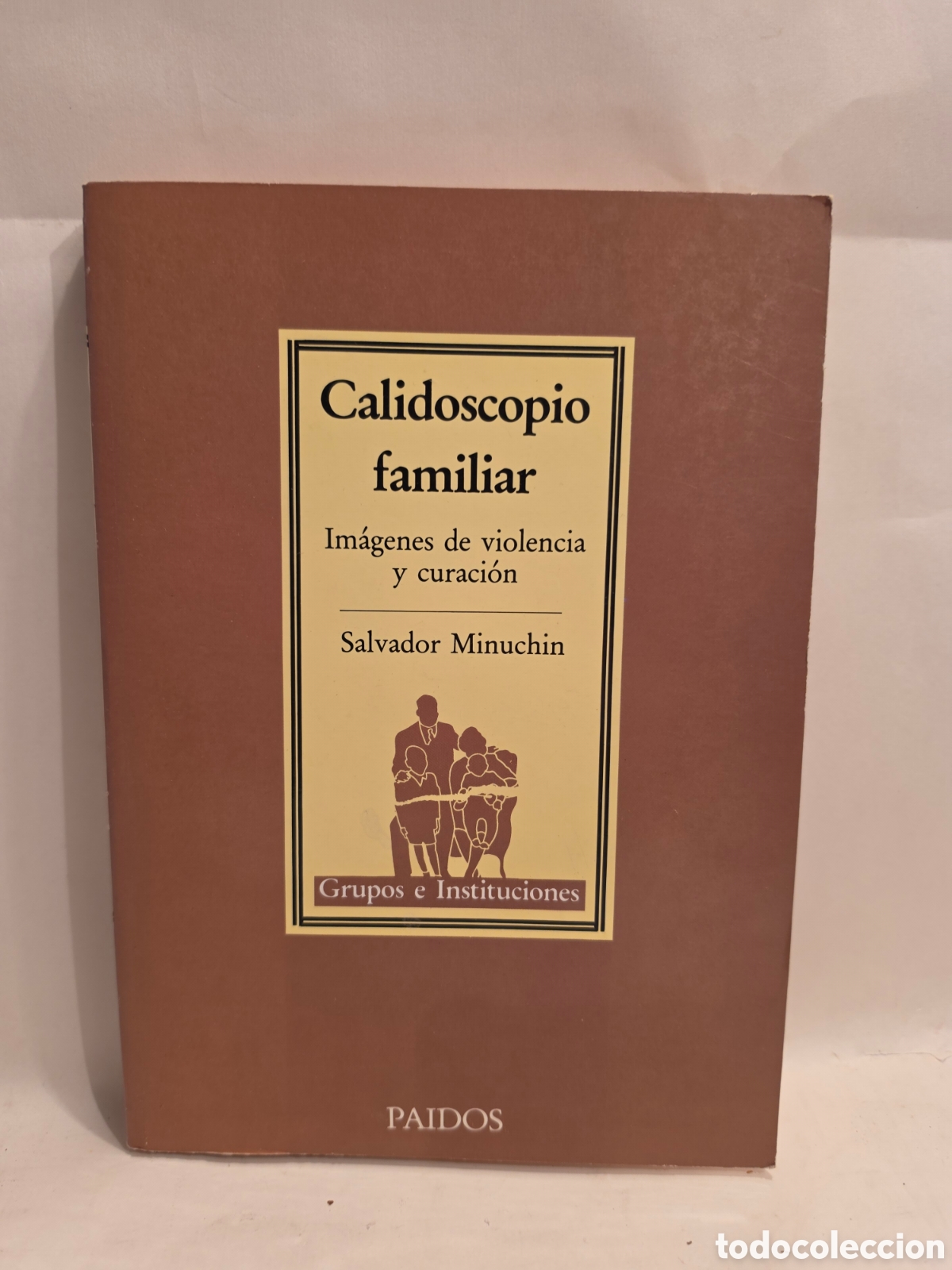 Libros de segunda mano: CALEDOSCOPIO FAMILIAR. IMAGENES DE VIOLENCIA Y CURACION. SALVADOR MINUCHIN. PAIDOS 1986.