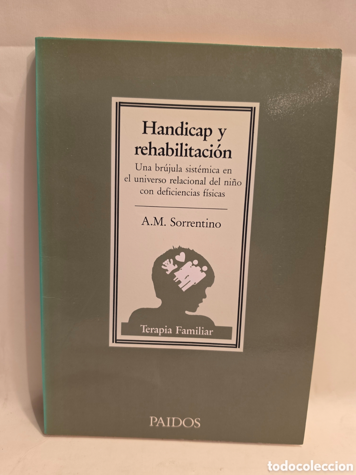 Libros de segunda mano: HANDICAP Y REHABILITACION. A. M. SORRENTINO. TERAPIA FAMILIAR. PAIDOS 1990.