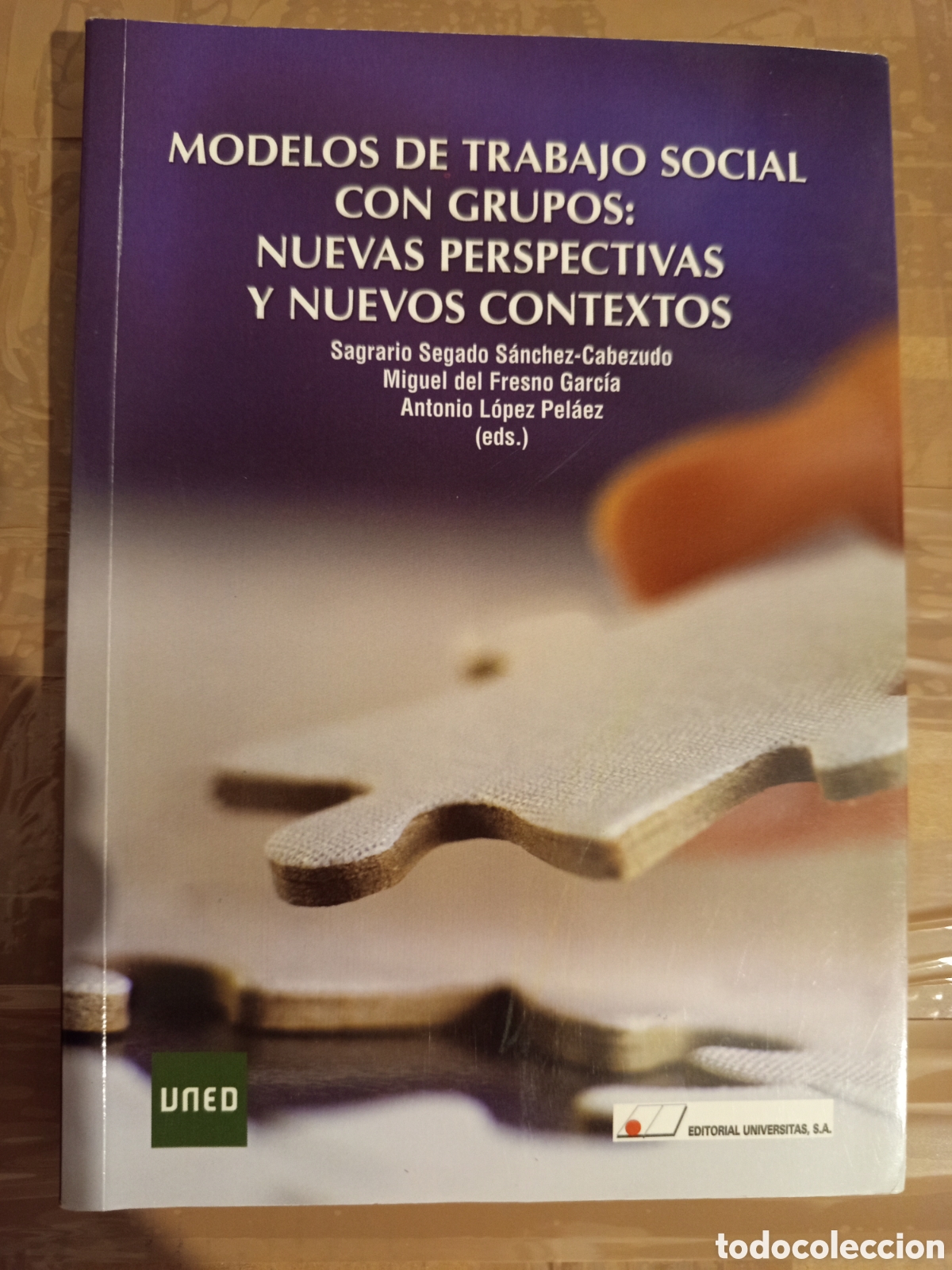 Libros de segunda mano: MODELOS DE TRABAJO SOCIAL CON GRUPOS: NUEVAS PERSPECTIVAS Y NUEVOS CONTEXTOS (SEGRARIO SEGADO)