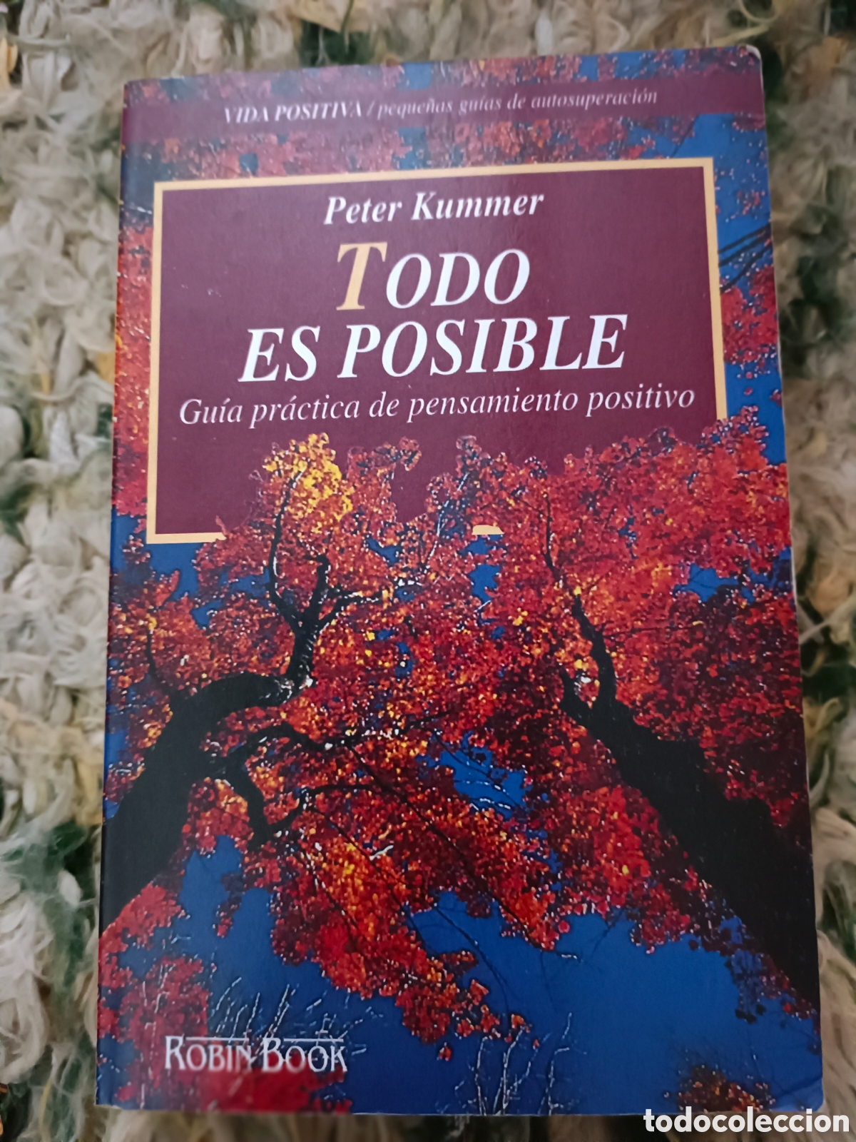 Libros de segunda mano: Todo es posible gu&iacute;a de pensamientos positivos