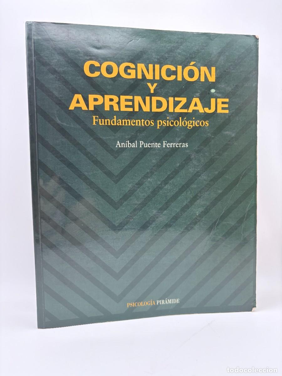 Libros de segunda mano: Cognici&oacute;n y aprendizaje, An&iacute;bal Puente Ferreras - Psicolog&iacute;a Pir&aacute;mide, 1998