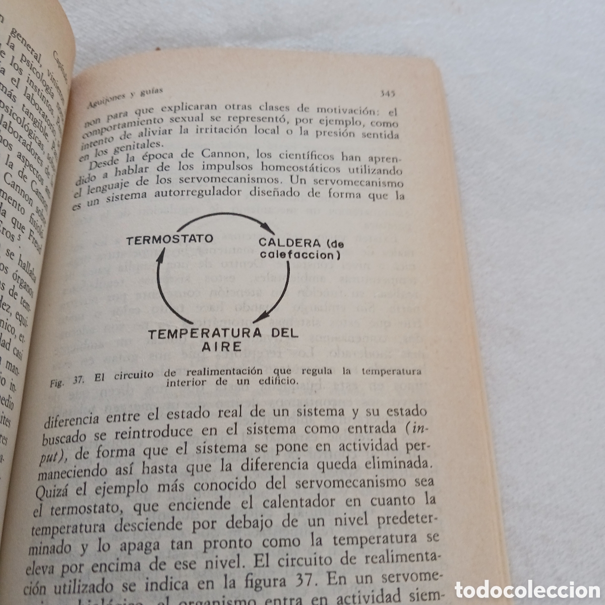 Libros de segunda mano: Introducci&oacute;n a la Psicolog&iacute;a de George A.Miller - Foto 12