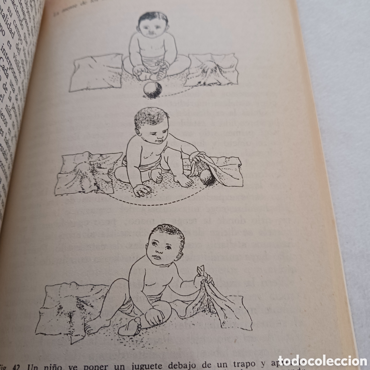 Libros de segunda mano: Introducci&oacute;n a la Psicolog&iacute;a de George A.Miller - Foto 13