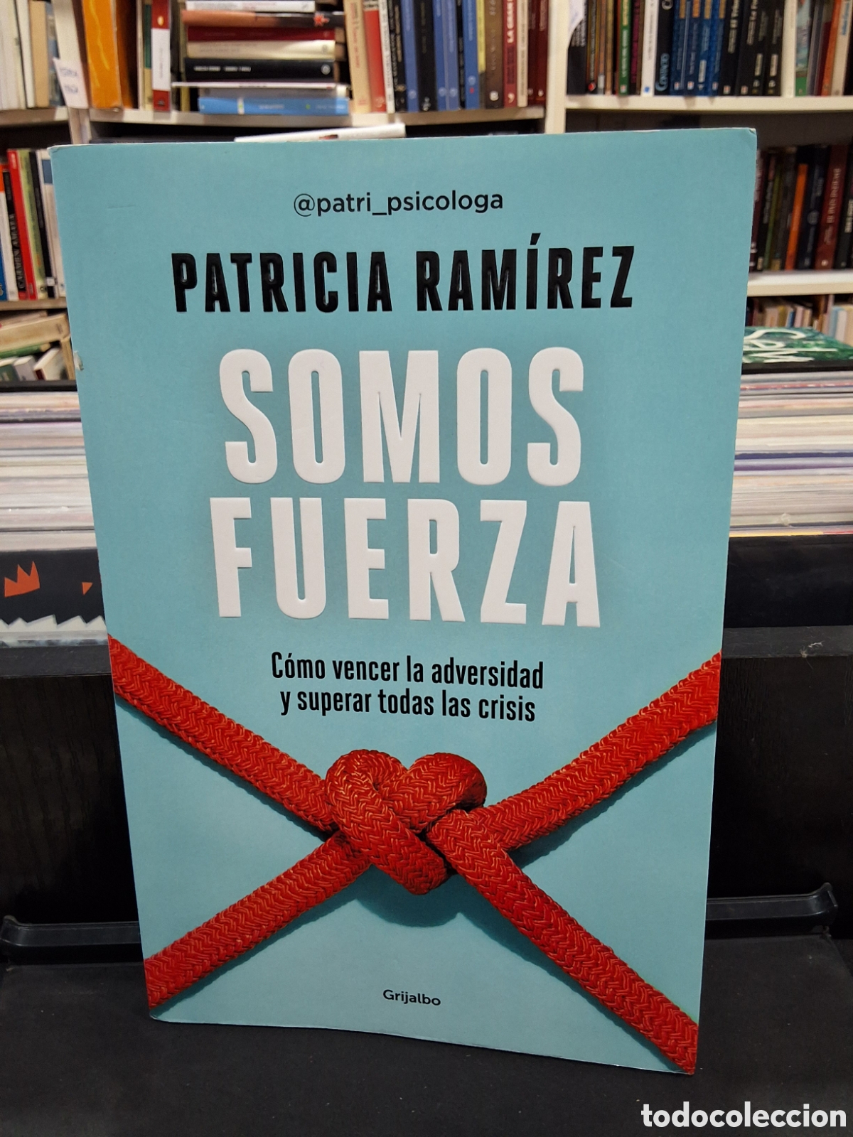 Libros de segunda mano: SOMOS FUERZA - C&Oacute;MO VENCER LA ADVERSIDAD - P. RAM&Iacute;REZ - ENV&Iacute;O DESDE 1,50 &euro;