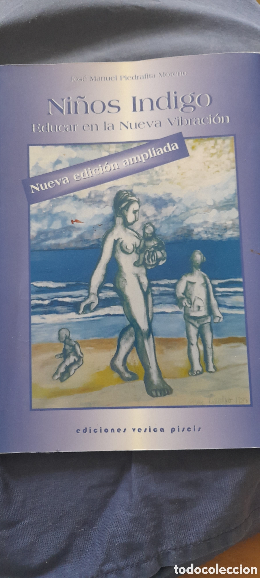 Libros de segunda mano: Ni&ntilde;os indigo. Jos&eacute; Manuel Piedrafita