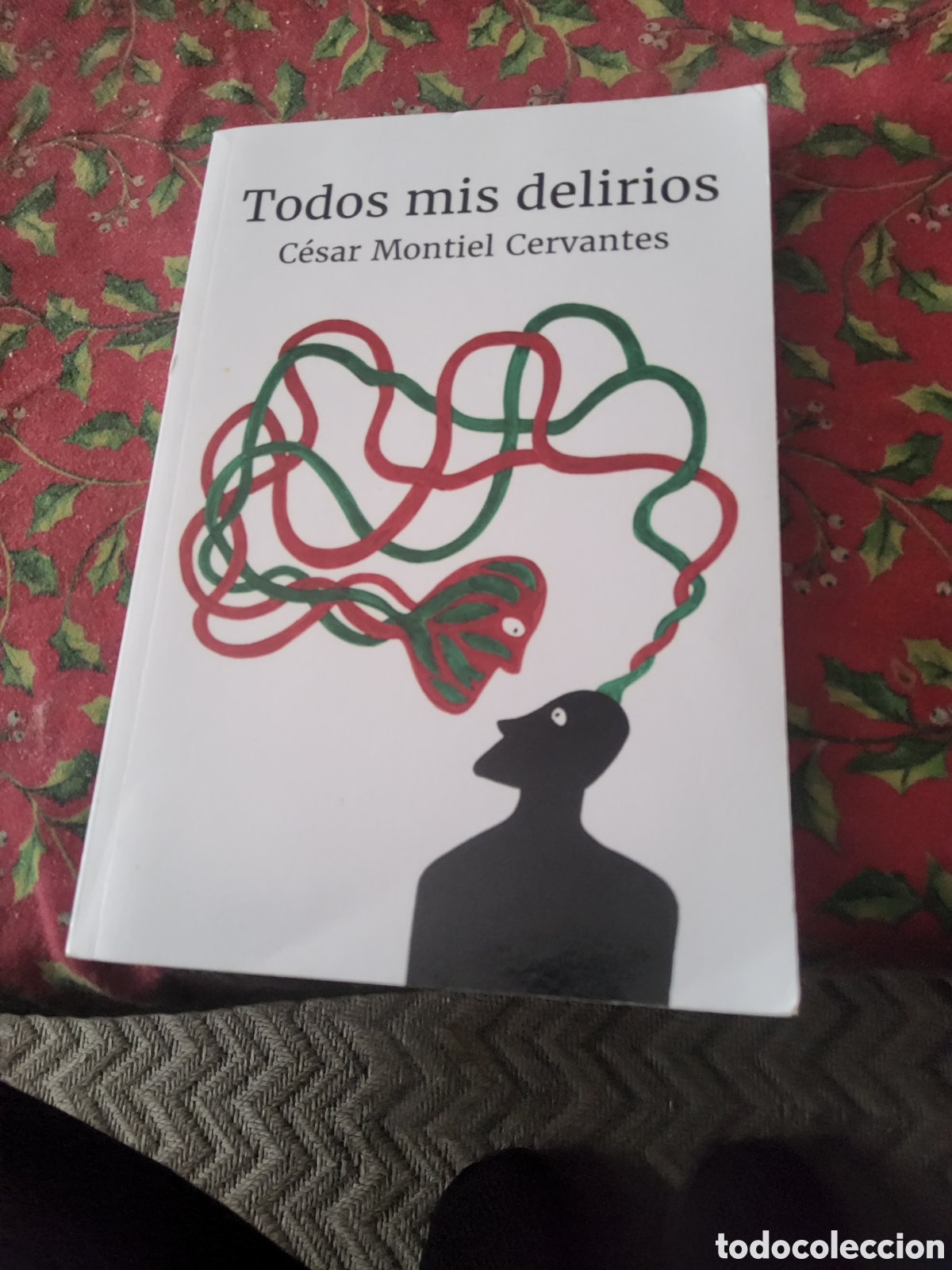 Libros de segunda mano: Todos Mis Delirios. Cesar Montiel Cervantes