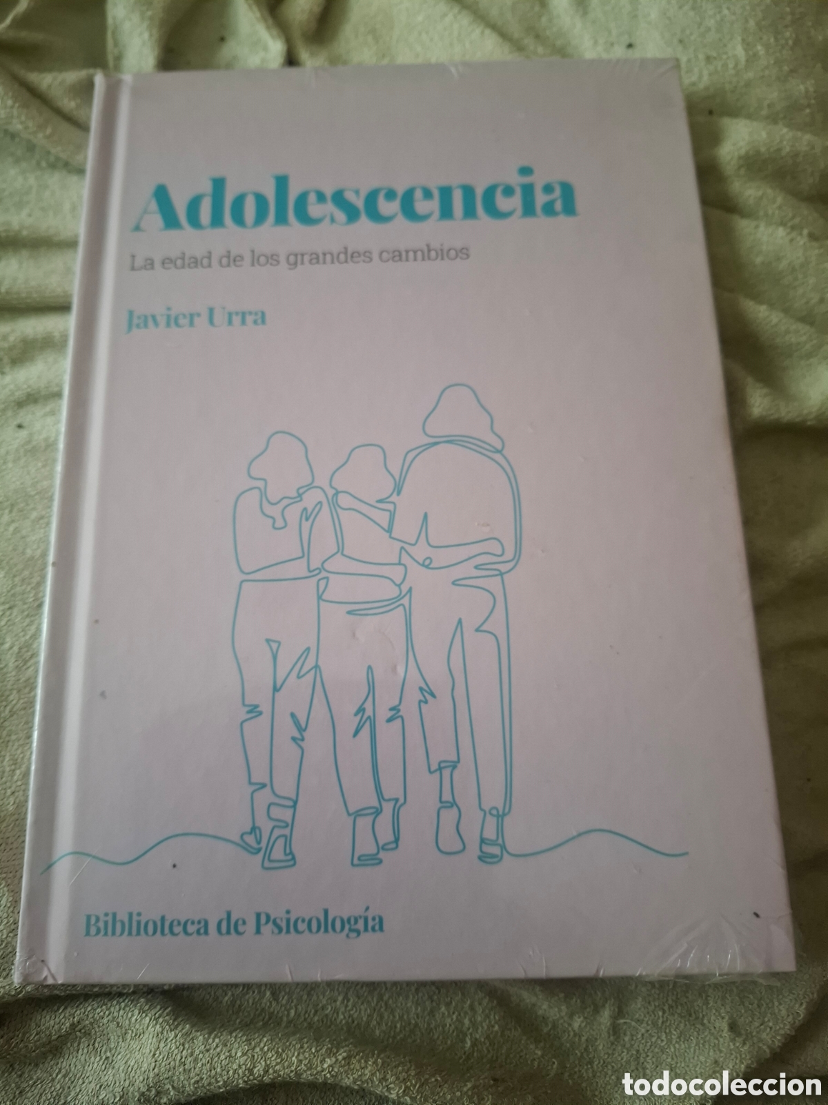 Libros de segunda mano: Adolescencia. La Edad De Los Grandes Cambios. Javier Urra. Biblioteca De Psicolog&iacute;a. Javier Urra.