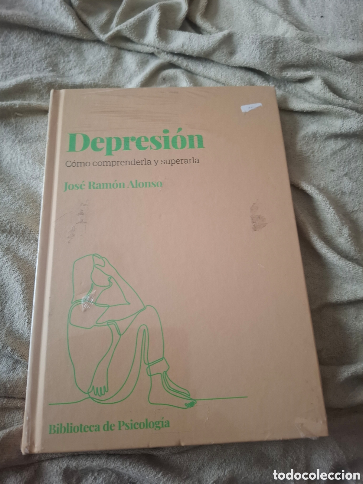 Libros de segunda mano: Depresi&oacute;n. Como comprenderla y superarla. Jos&eacute; Ram&oacute;n Alonso. Biblioteca de Psicolog&iacute;a