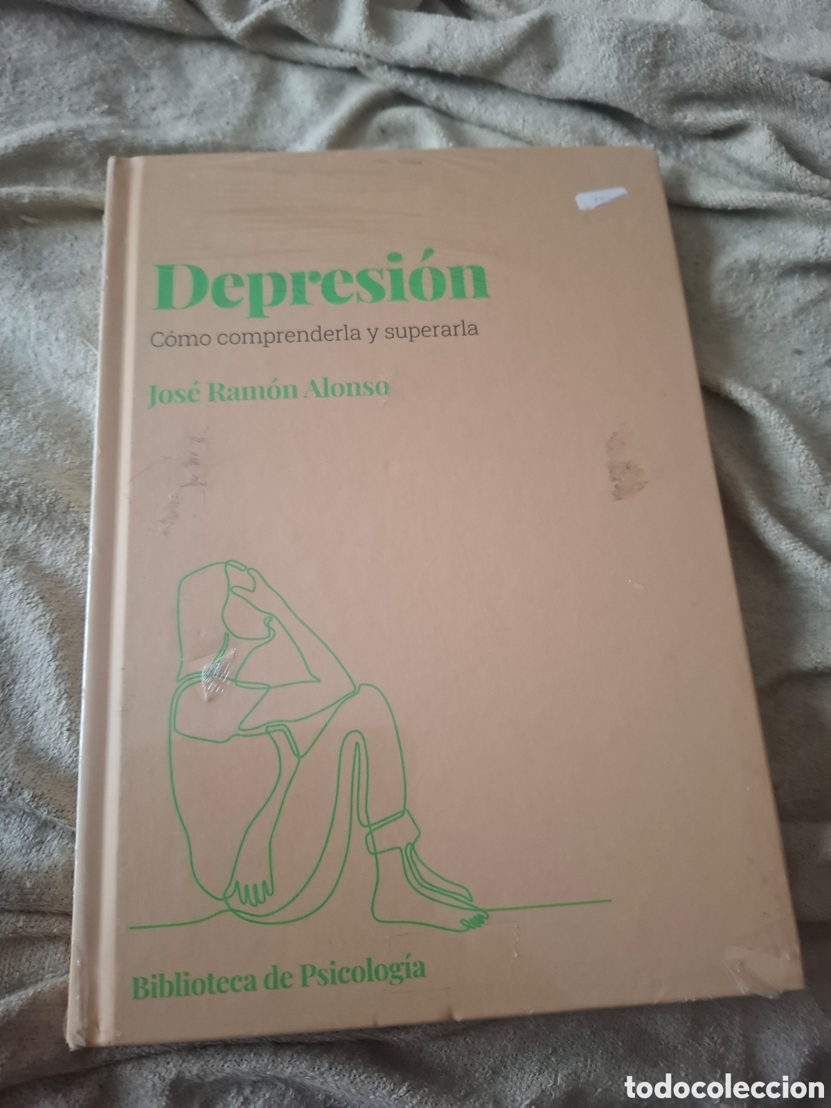 Libros de segunda mano: Depresi&oacute;n. Como comprenderla y superarla. Jos&eacute; Ram&oacute;n Alonso. Biblioteca de Psicolog&iacute;a.