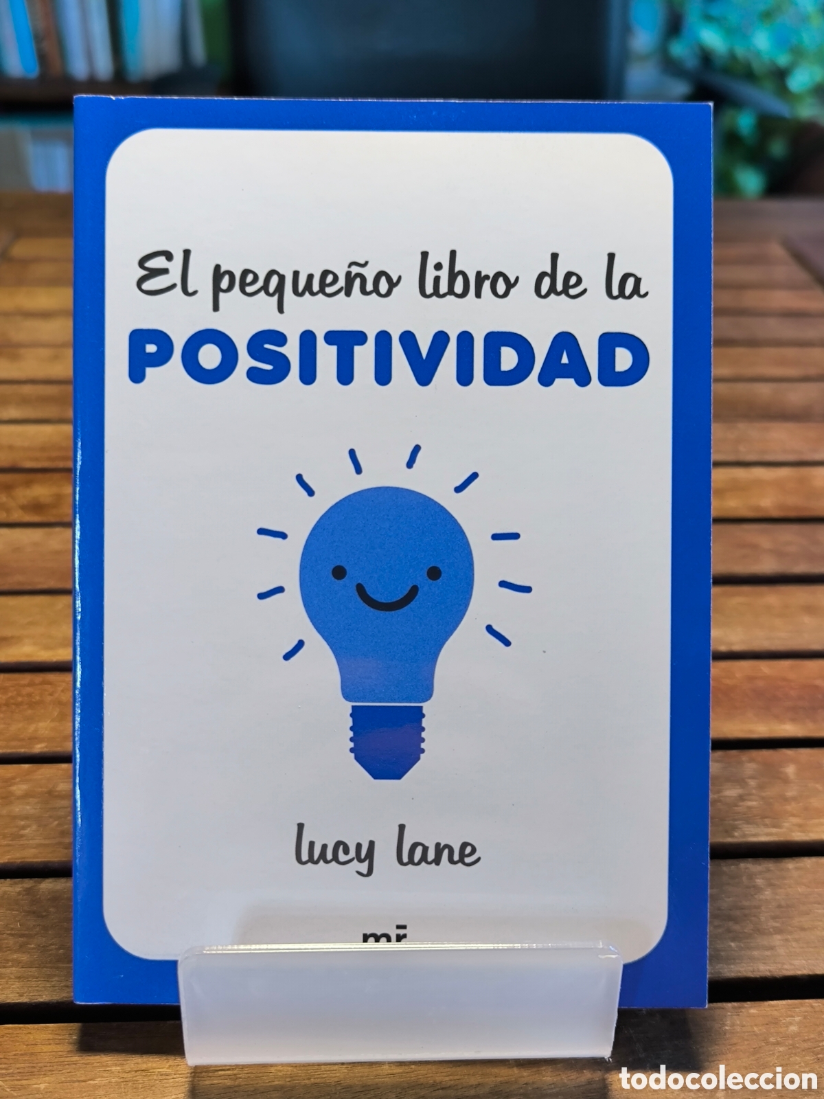 Libros de segunda mano: El peque&ntilde;o libro de la positividad Lucy Lane 2025