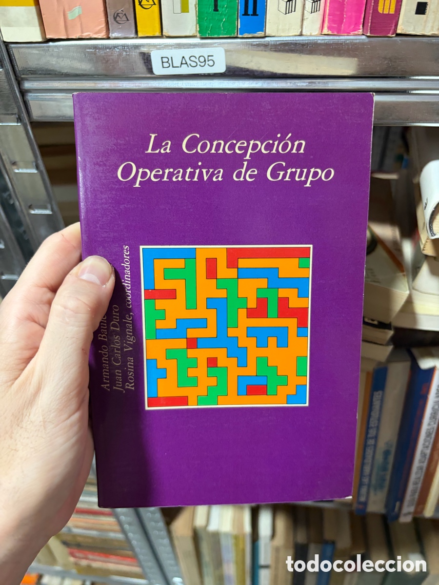 Libros de segunda mano: BLAS95 La Concepci&oacute;n Operativa de Grupo