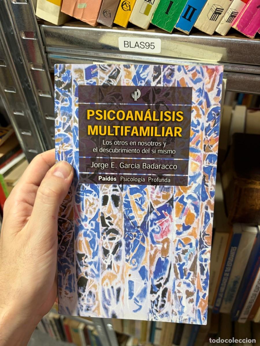 Libros de segunda mano: BLAS95 Jorge E. Garc&iacute;a Badaracco Psicoan&aacute;lisis multifamiliar. Los otros en nosotros y el descubrimie