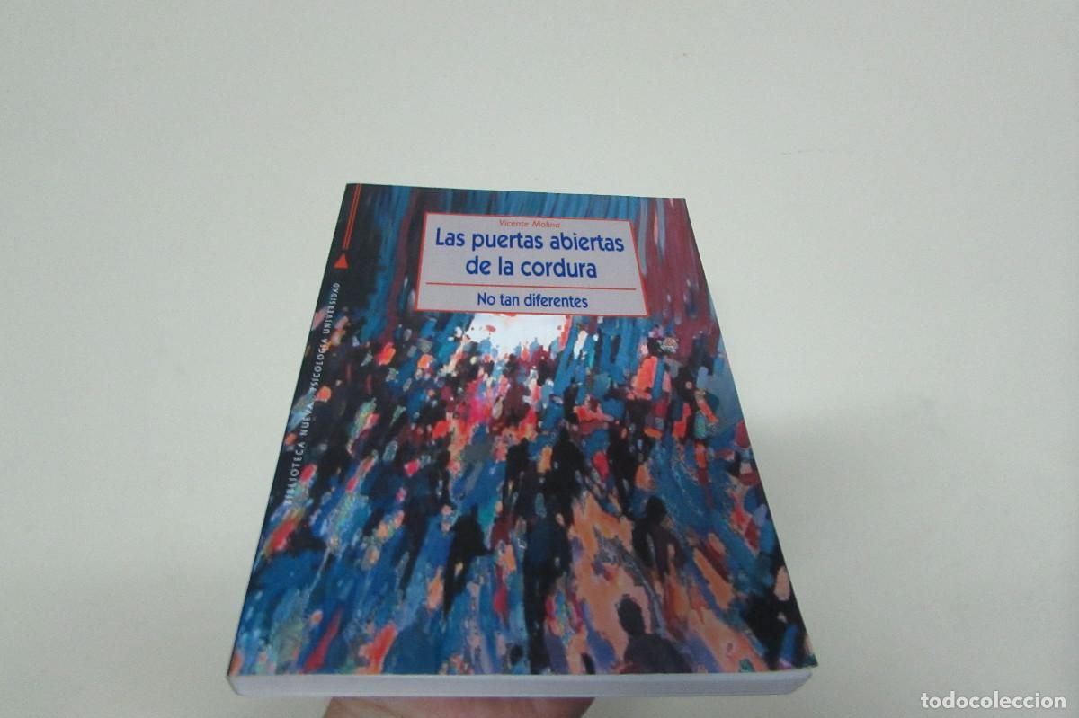 Libros de segunda mano: LAS PUERTAS ABIERTAS DE LA CORDURA. NO TAN DIFERENTES - VICENTE MOLINA