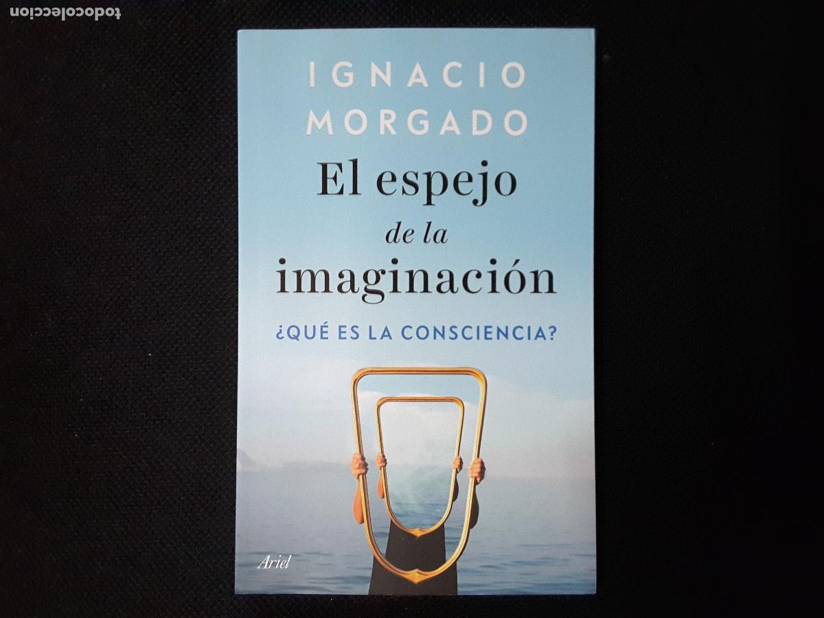 Libros de segunda mano: El espejo de la imaginaci&oacute;n (Ignacio Morgado)