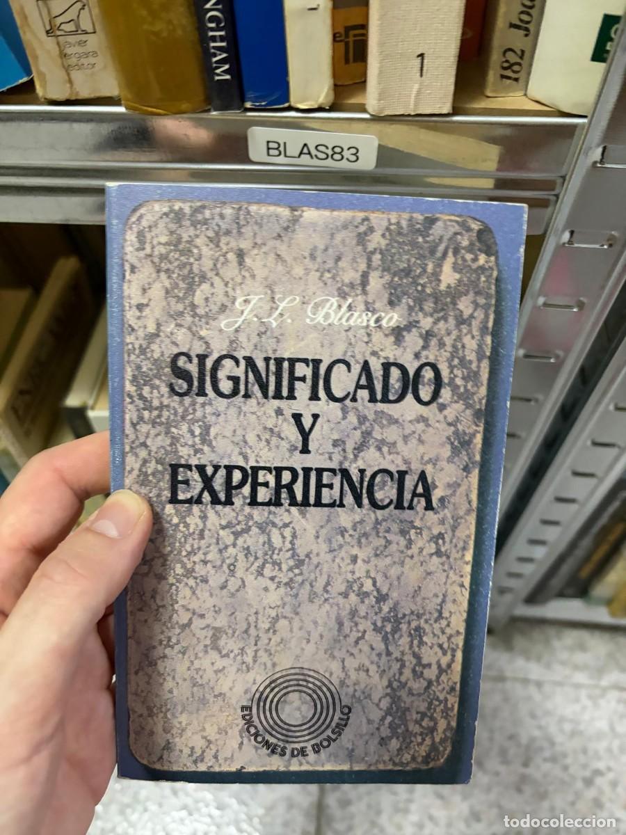 Libros de segunda mano: BLAS83 Significado y experiencia, J. L. Blasco, Ediciones de Bolsillo
