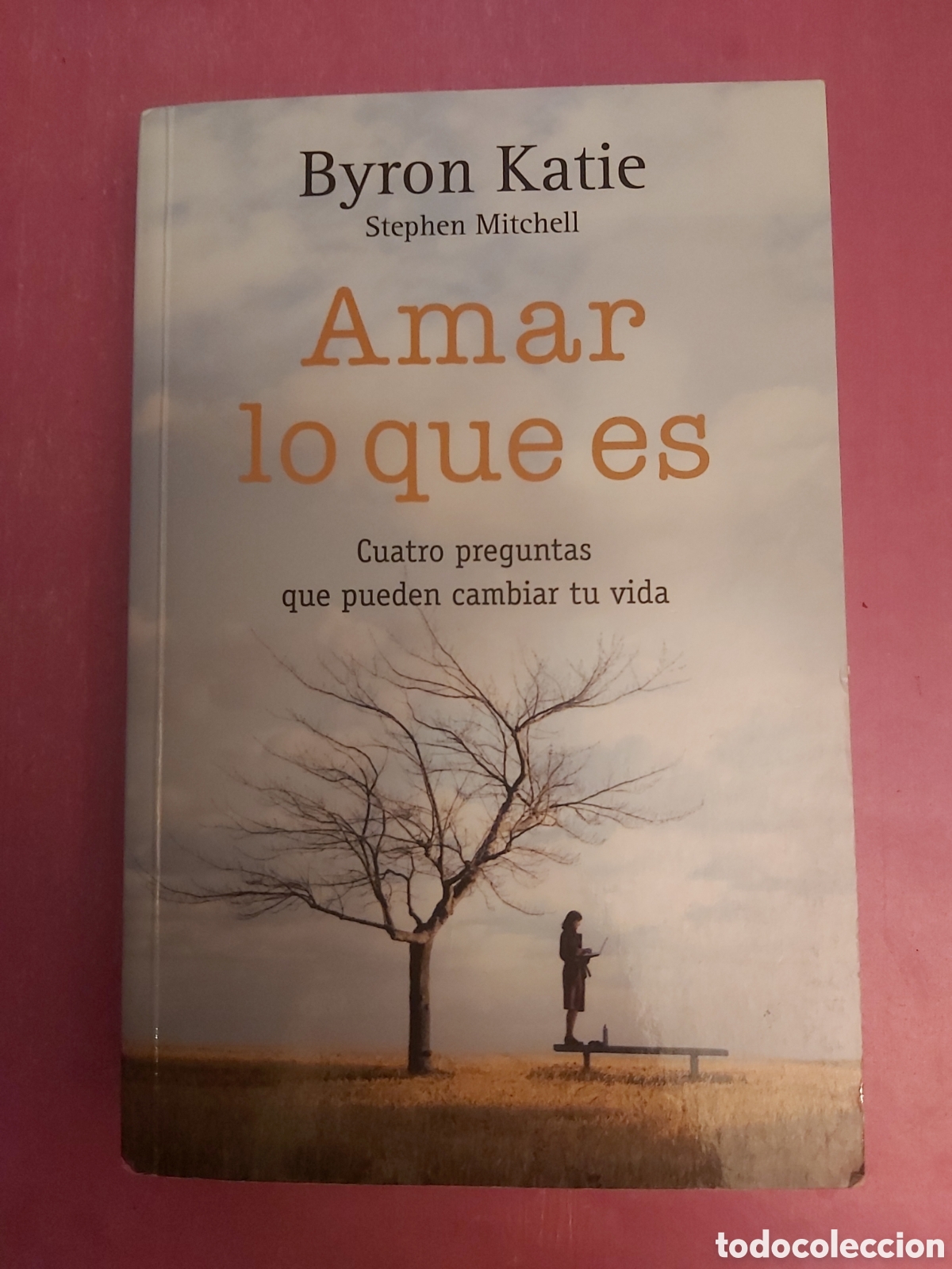 Libros de segunda mano: AMAR LO QUE ES BYRON KATIE BOOKS4POCKET URANO PRIMERA EDICI&Oacute;N 2009