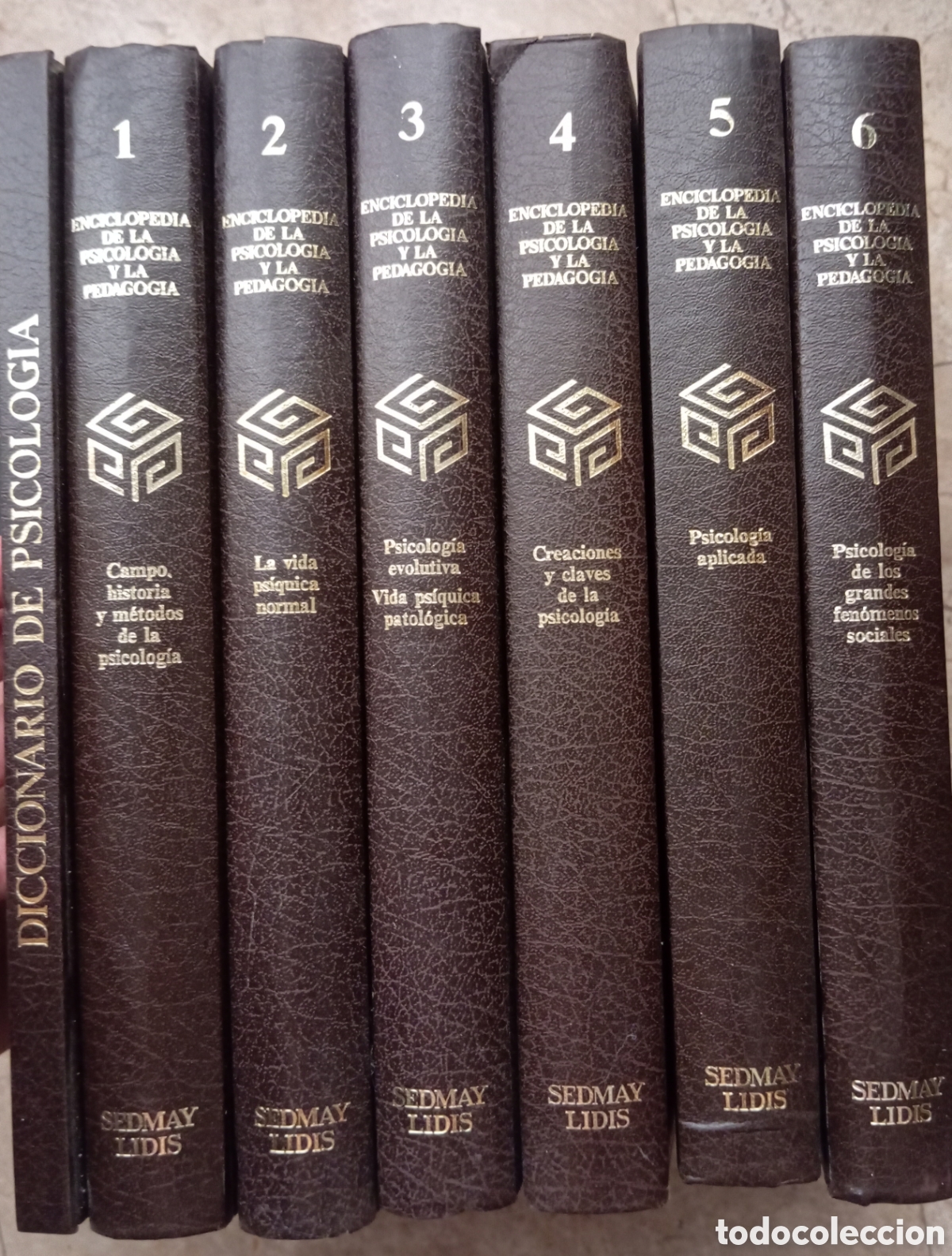 Libros de segunda mano: ENCICLOPEDIA DE LA PSICOLOGIA Y LA PEDAGOGIA COMPLETA