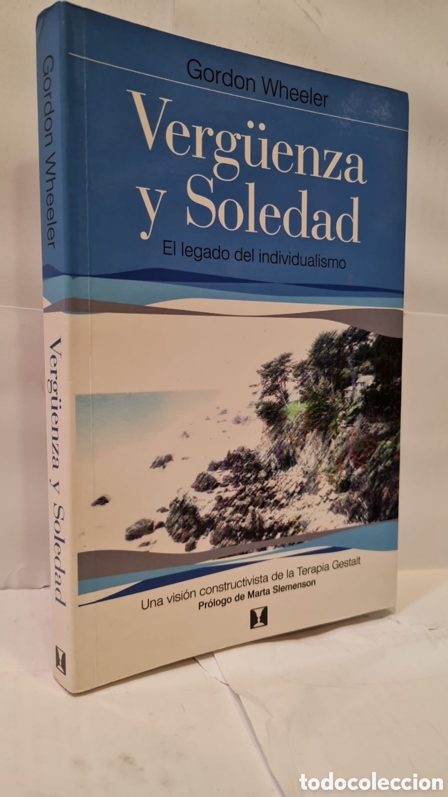 Livres d'occasion: Verg&uuml;enza y Soledad. El legado del individualismo. Una visi&oacute;n constructivista de... - Gordon Wheeler