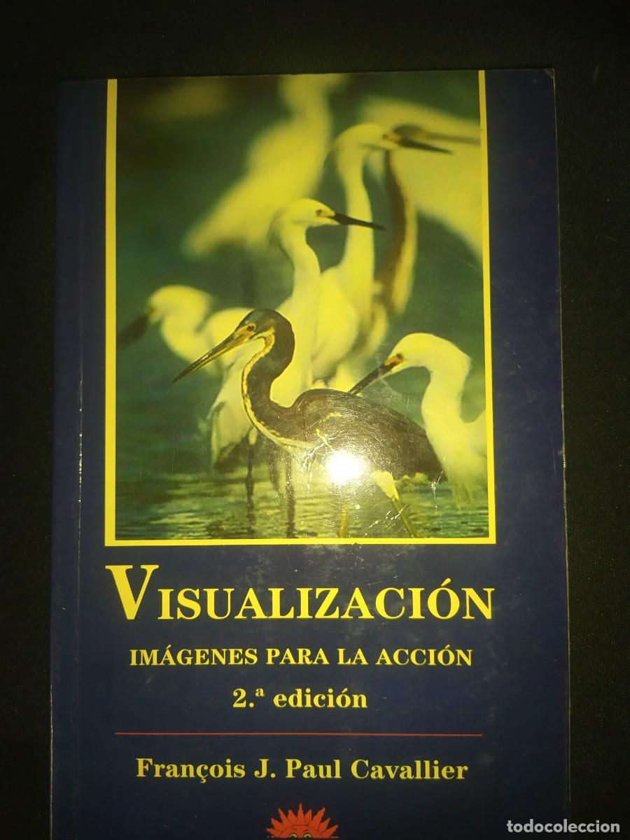 Libros de segunda mano: Visualizaci&oacute;n : Im&aacute;genes para la acci&oacute;n - Fran&ccedil;ois Jean Paul Cavallier