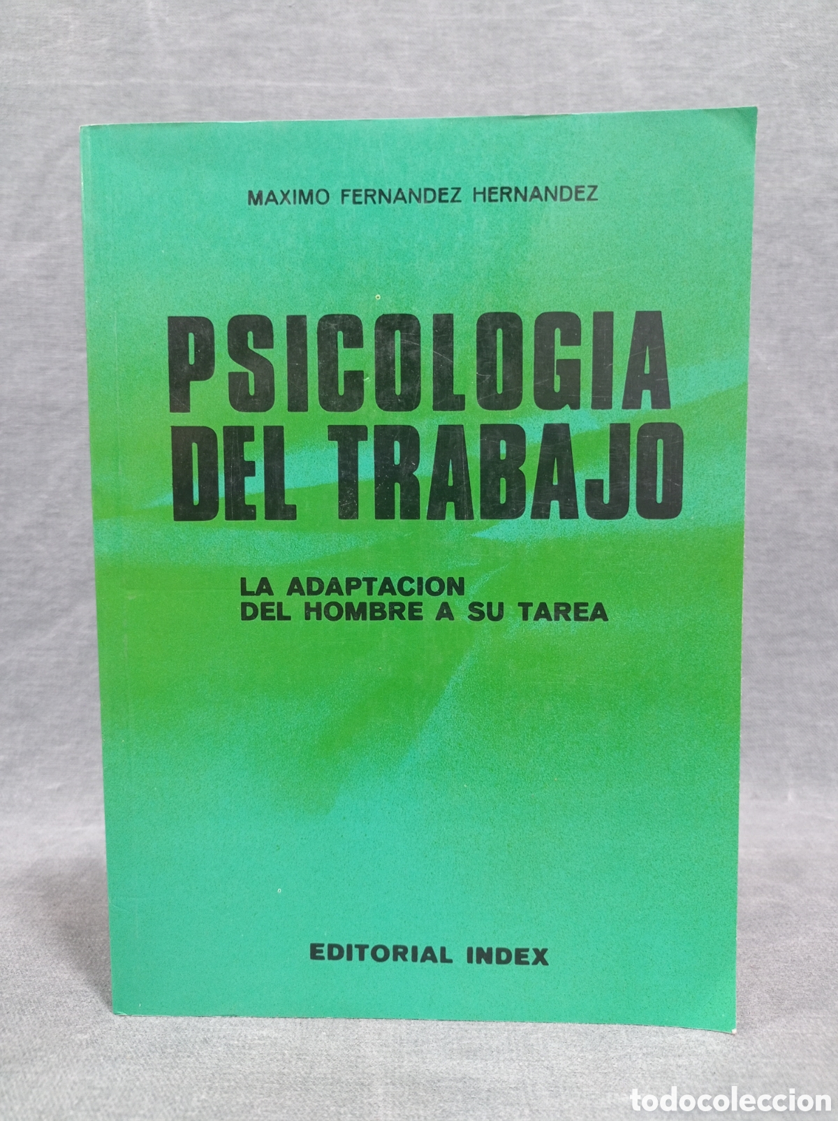 Libros de segunda mano: PSICOLOG&Iacute;A DEL TRABAJO - LA ADAPTACI&Oacute;N DEL HOMBRE A SU TAREA - M&Aacute;XIMO FERN&Aacute;NDEZ HERN&Aacute;NDEZ - ED INDEX