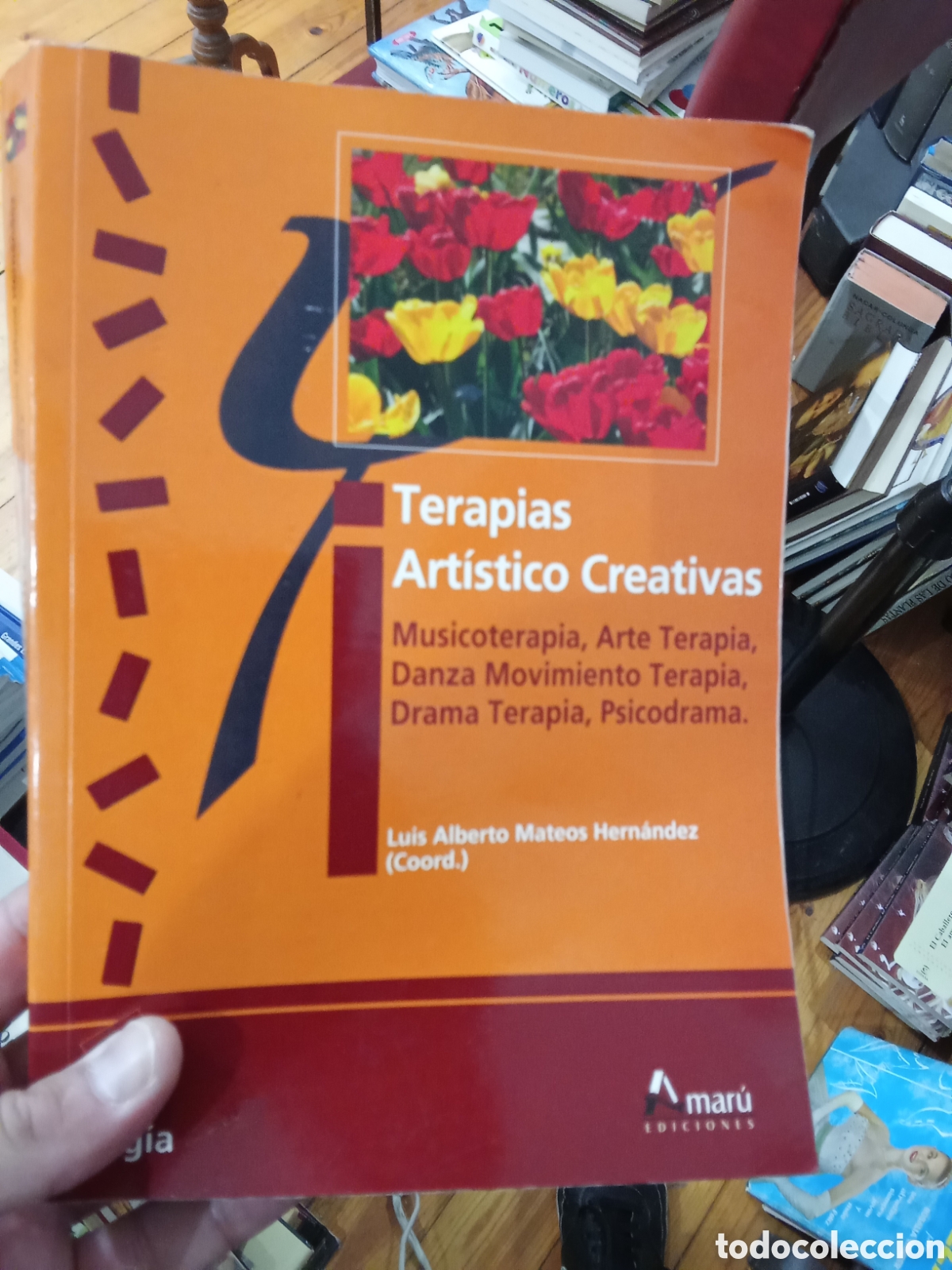 Libros de segunda mano: Terapias Artistico Creativas - Luis Alberto Mateos Hern&aacute;ndez