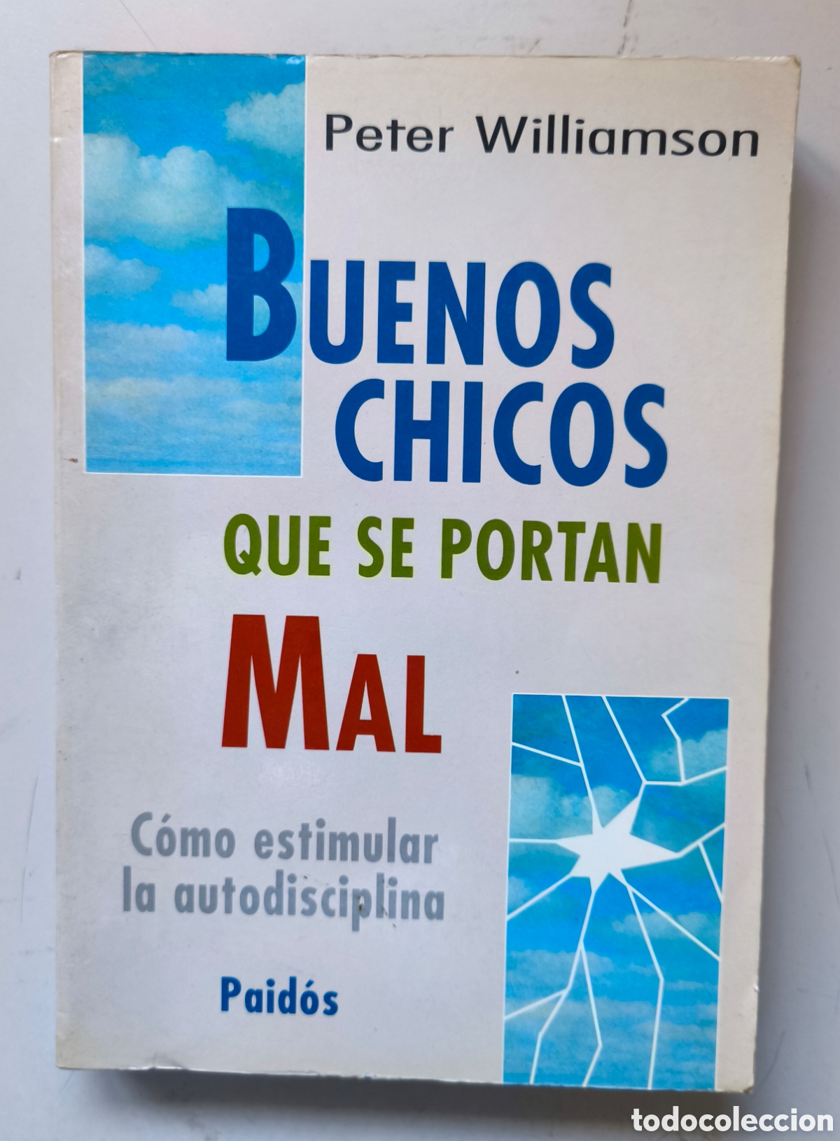 Libros de segunda mano: Buenos chicos que se portan mal: C&oacute;mo estimular la autodisciplina, Peter Williamson