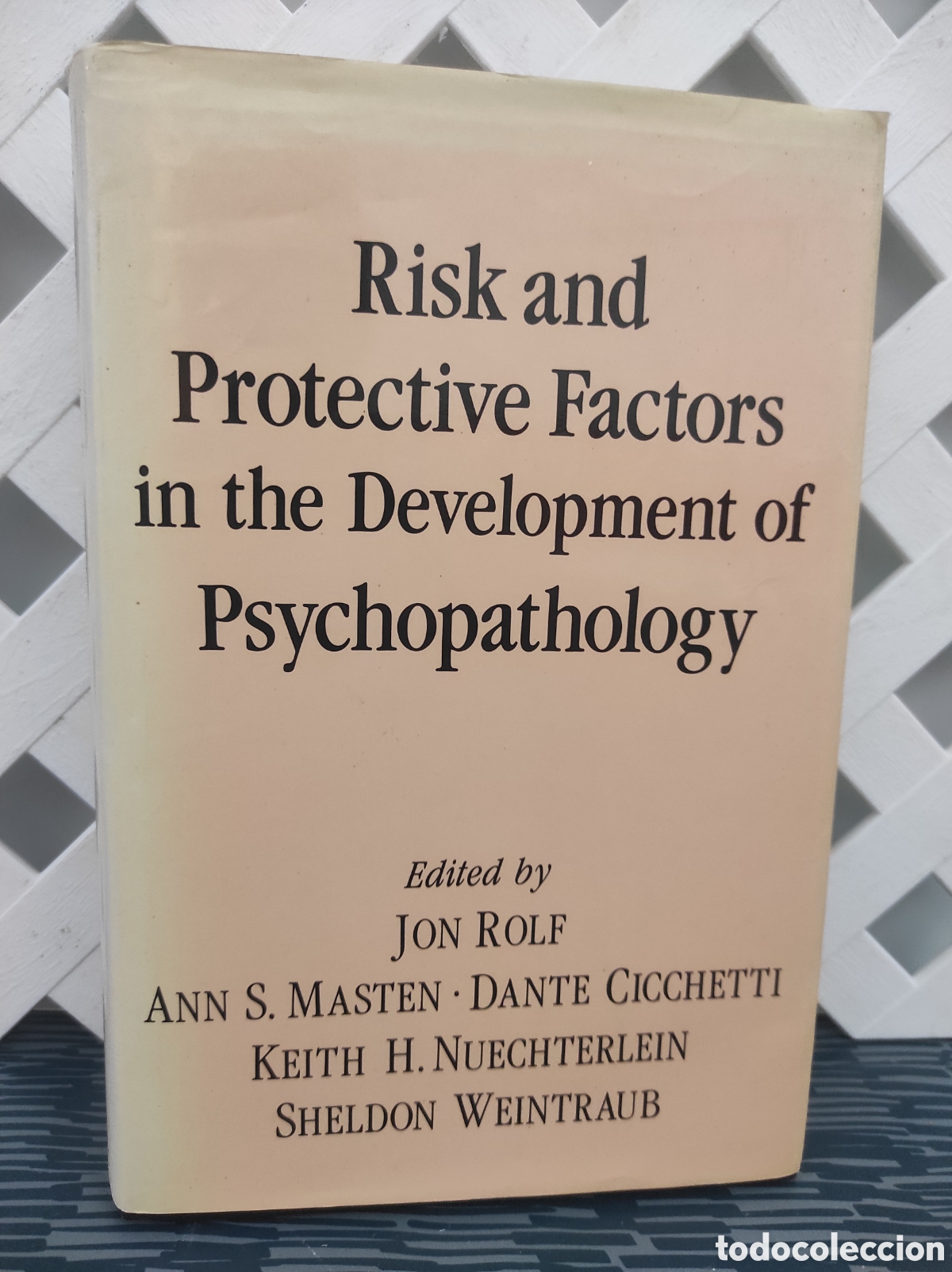 Libros de segunda mano: Risk and Protective Factors in the Development of Psychopathology. Dante Cicchetti, Ann S. Masten Ph