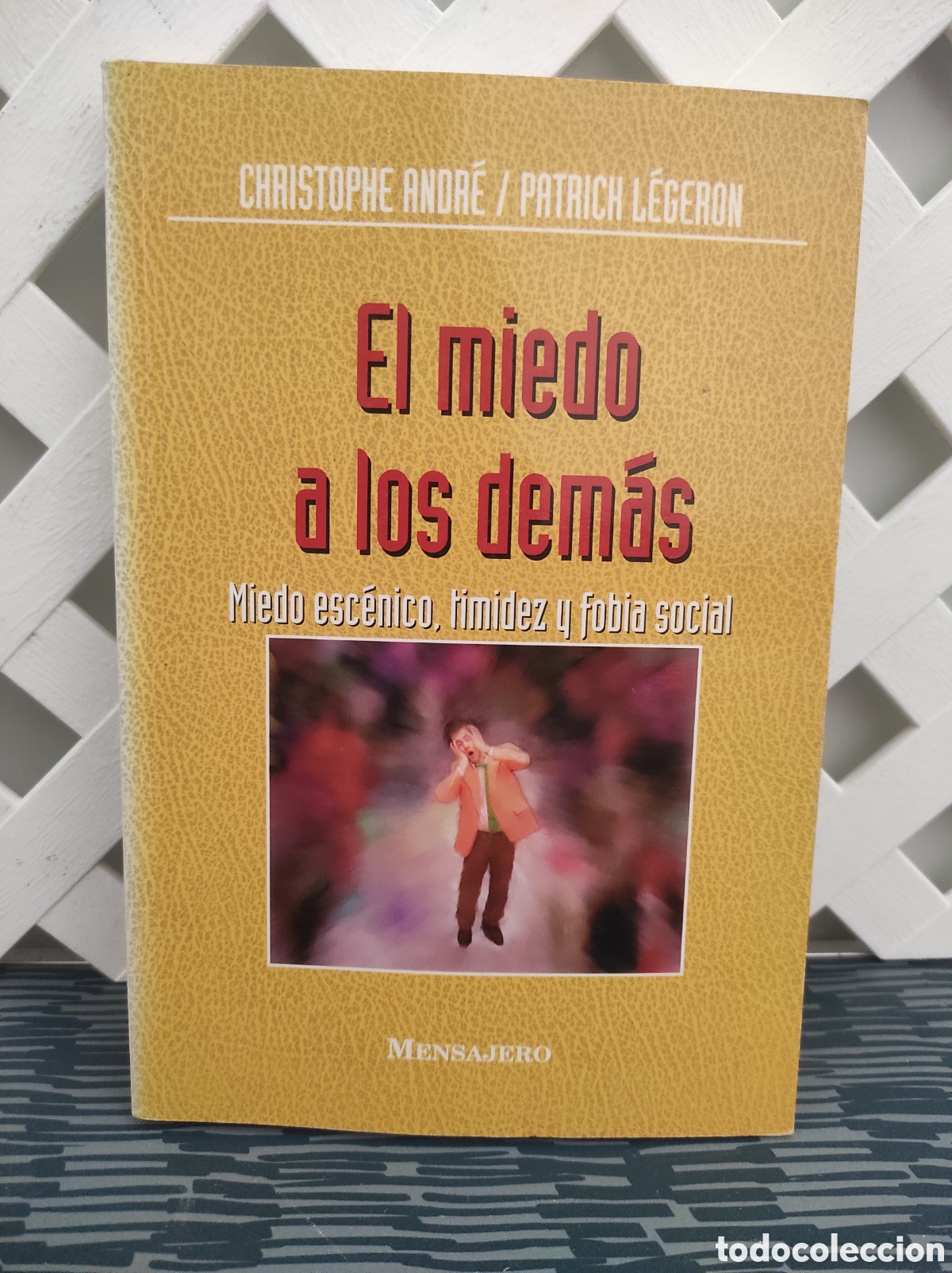 Libros de segunda mano: El miedo a los dem&aacute;s. Miedo esc&eacute;nico, timidez y fobia social - Christophe Andr&eacute; (PEDIDO MINIMO 10&euro;)