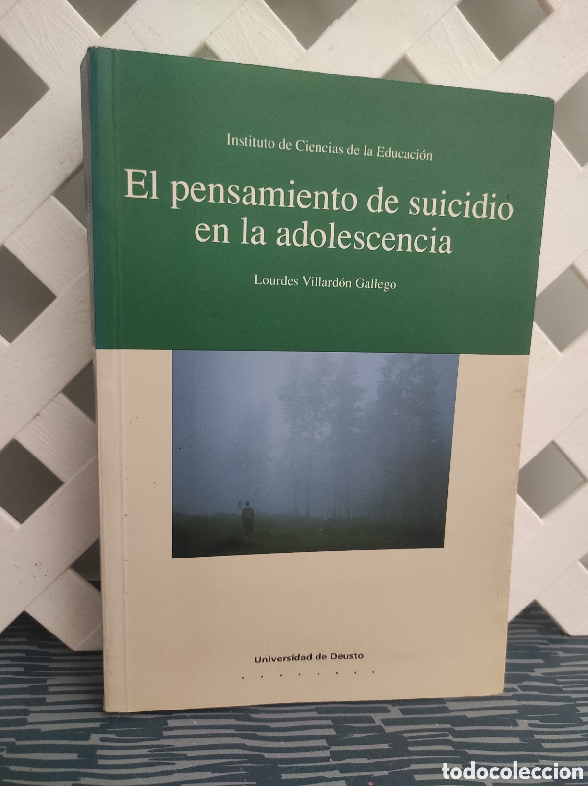 Libros de segunda mano: EL PENSAMIENTO DE SUICIDIO EN LA ADOLESCENCIA ( LOURDES VILLARDON ) UNIVERSIDAD DEUSTO PSICOLOGIA