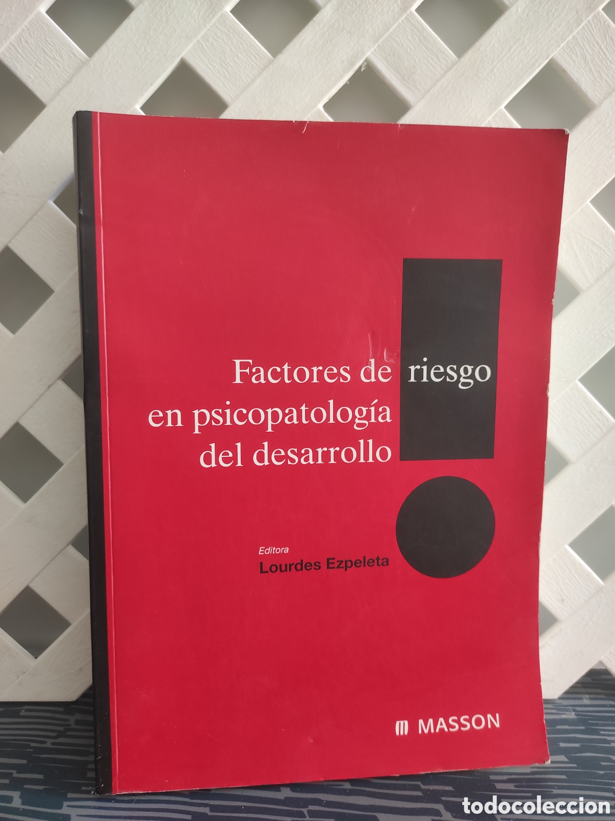 Libros de segunda mano: FACTORES DE RIESGO EN PSICOPATOLOGIA DEL DESARROLLO - LOURDES EZPELETA - MASSON