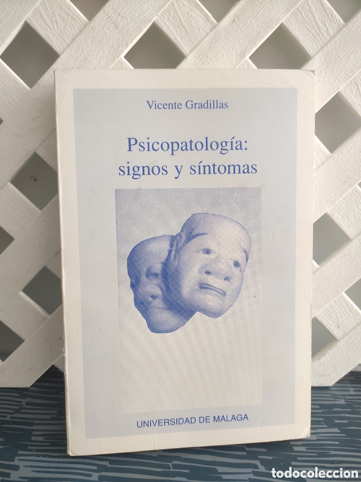 Libros de segunda mano: PSICOPATOLOGIA, SIGNOS Y SINTOMAS, VICENTE GRADILLAS, UNIVERSIDAD DE MALAGA