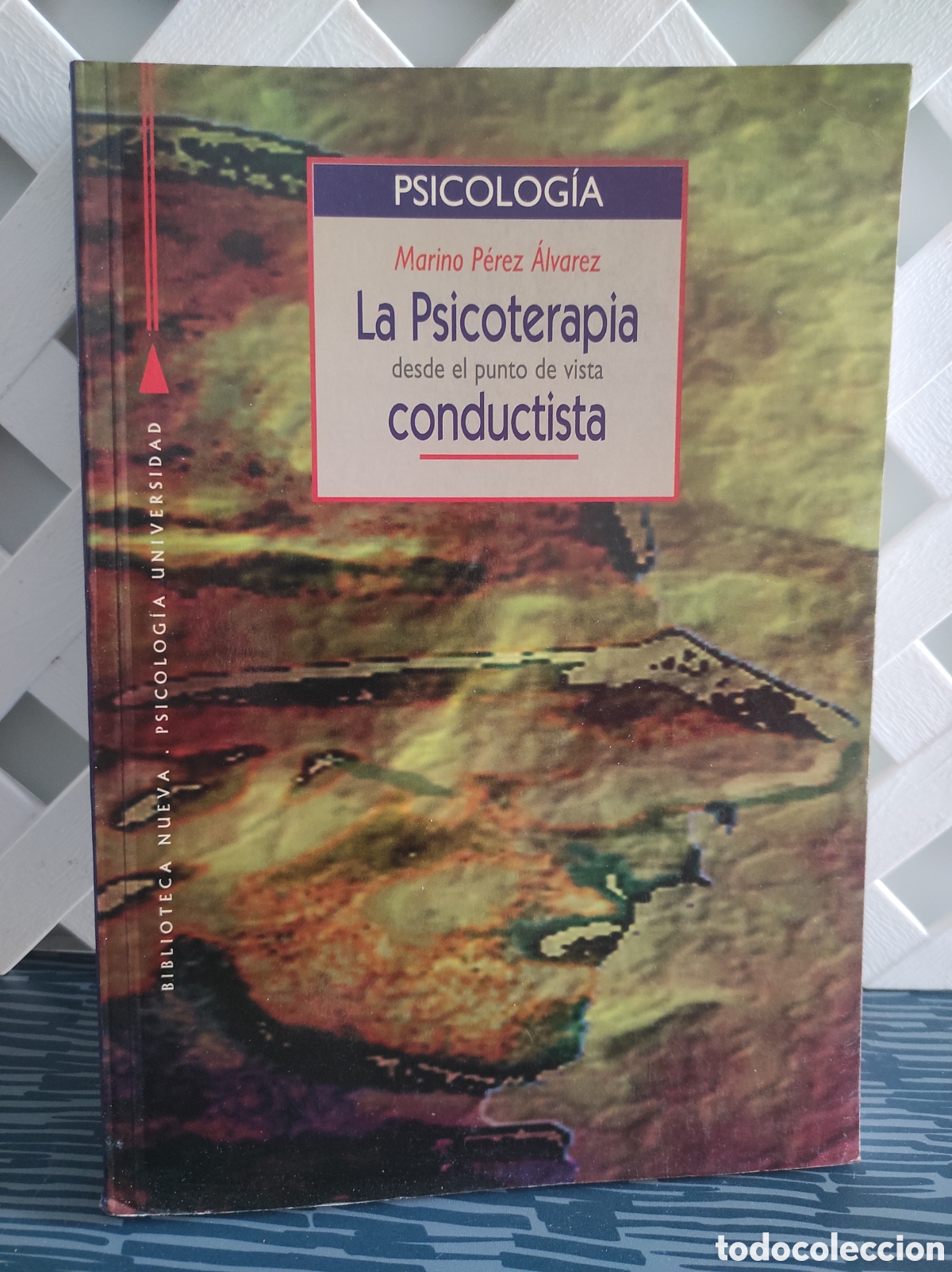 Libros de segunda mano: LA PSICOTERAPIA DESDE EL PUNTO DE VISTA CONDUCTISTA (MARINO P&Eacute;REZ &Aacute;LVAREZ) BIBLIOTECA NUEVA