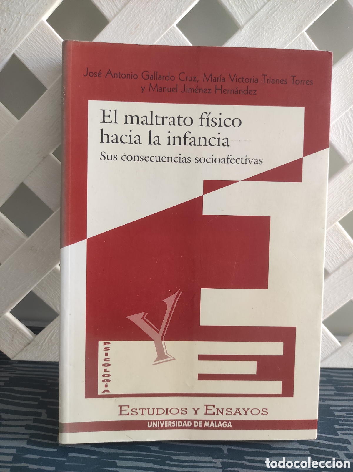 Libros de segunda mano: El maltrato f&iacute;sico hacia la infancia. Sus consecuencias socio afectivas. Jos&eacute; Antonio Gallardo Cruz