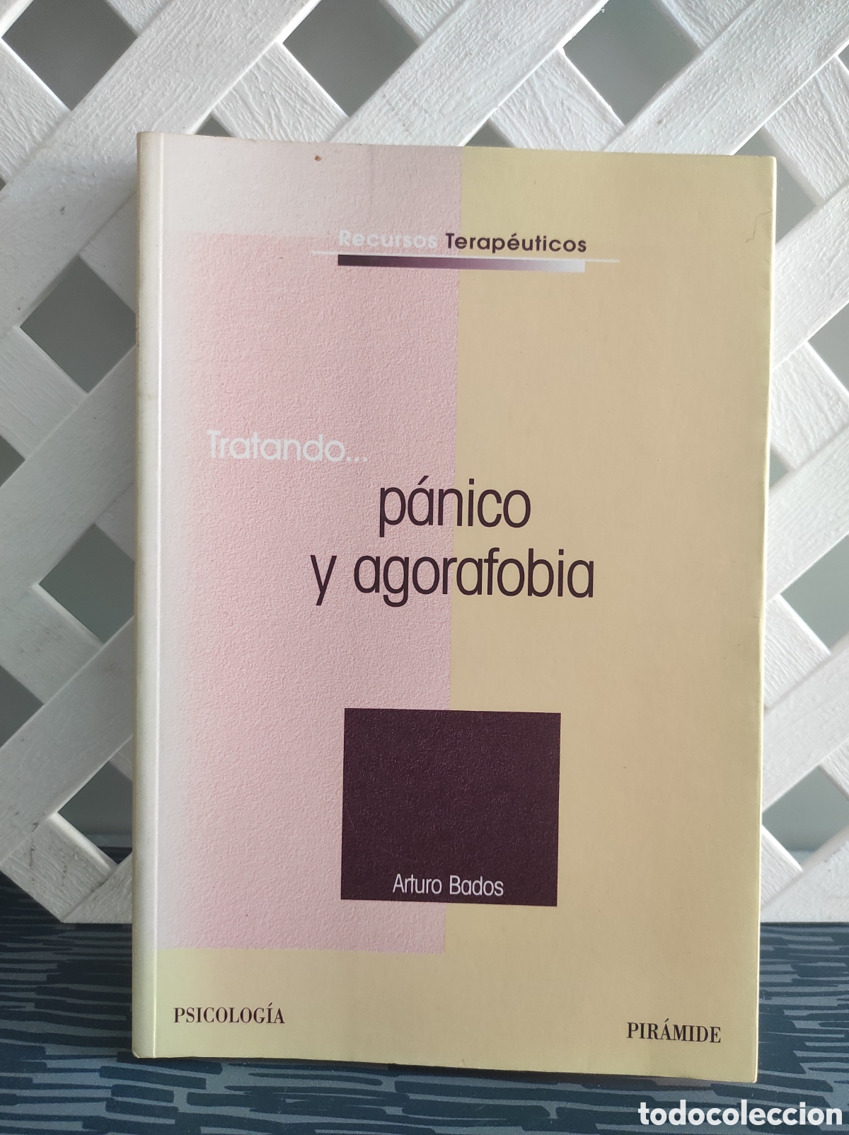 Libros de segunda mano: Tratando... p&aacute;nico y agorafobia. Arturo Bados (PEDIDO MINIMO 10&euro;)