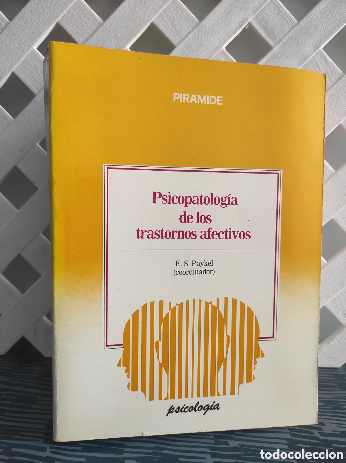 Libros de segunda mano: Psicopatolog&iacute;a de los trastornos afectivos - E.S. Paykel