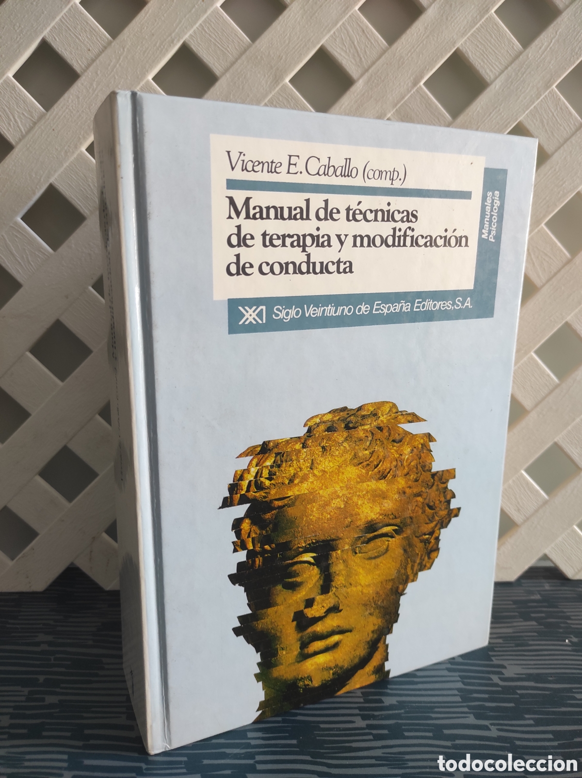 Libros de segunda mano: MANUAL DE TECNICAS DE TERAPIA Y MODIFICACION DE CONDUCTA - CABALLO , Vicente E