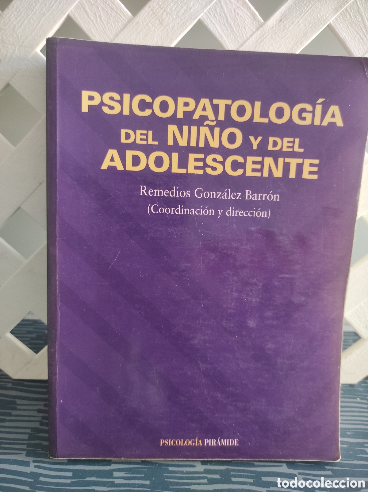 Libros de segunda mano: PSICOPATOLOG&Iacute;A DEL NI&Ntilde;O Y DEL ADOLESCENTE - Remedios Gonz&aacute;lez Barr&oacute;n
