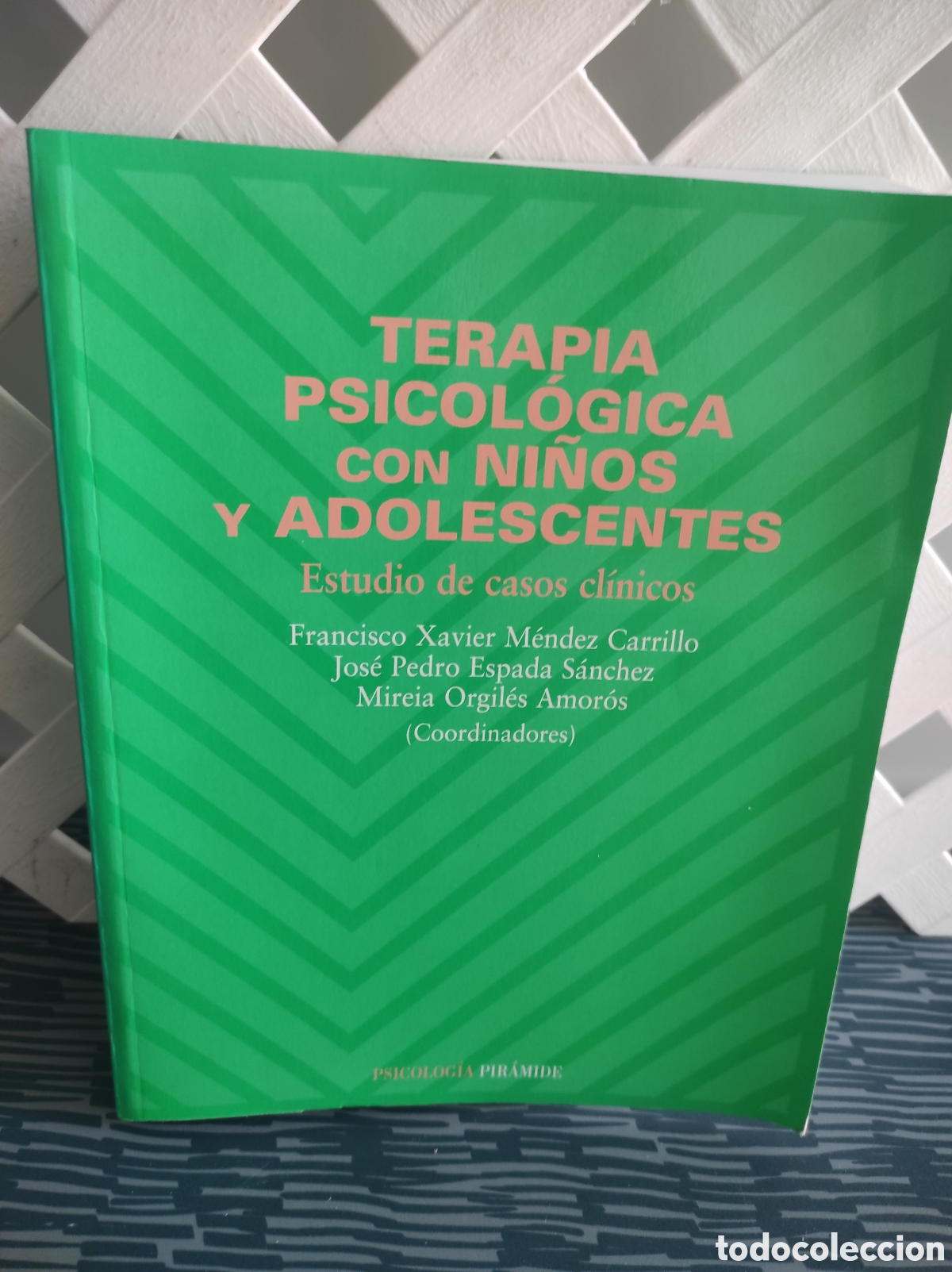 Libros de segunda mano: TERAPIA PSICOL&Oacute;GICA CON NI&Ntilde;OS Y ADOLESCENTES. ESTUDIO DE CASOS CL&Iacute;NICOS