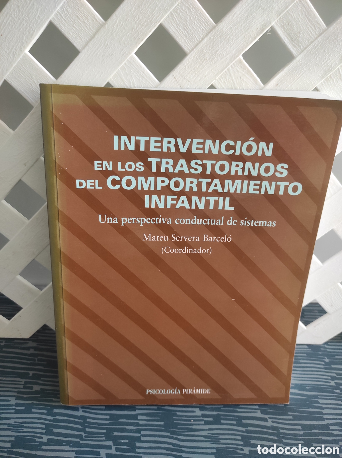 Libros de segunda mano: INTERVENCION EN LOS TRASTORNOS DEL COMPORTAMIENTO INFANTIL - UNA PERSPECTIVA CONDUCTUAL DE SISTEMAS
