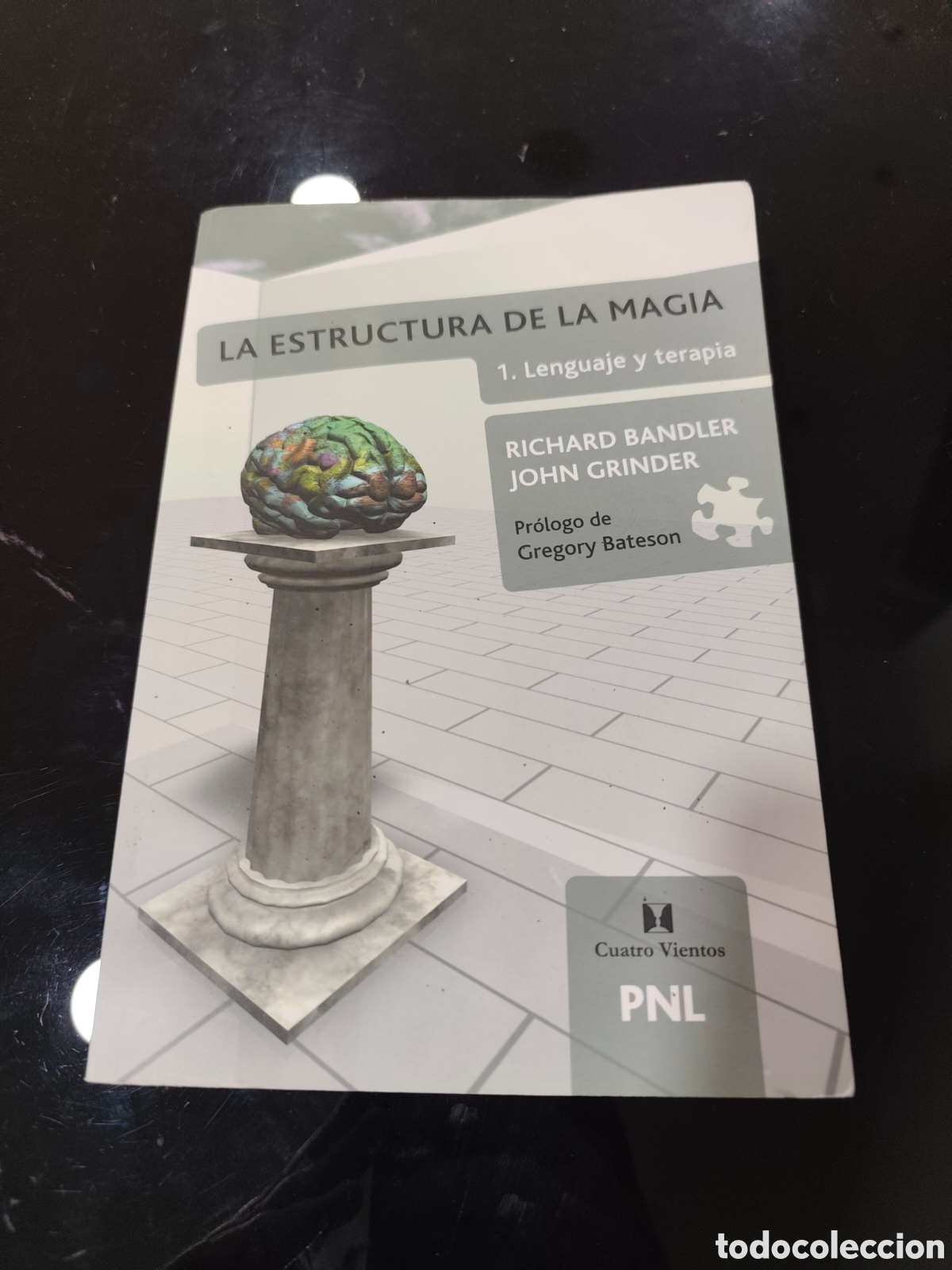 Libros de segunda mano: La estructura de la magia: 1. Lenguaje y terapia. Richard Bandler, John Grinder