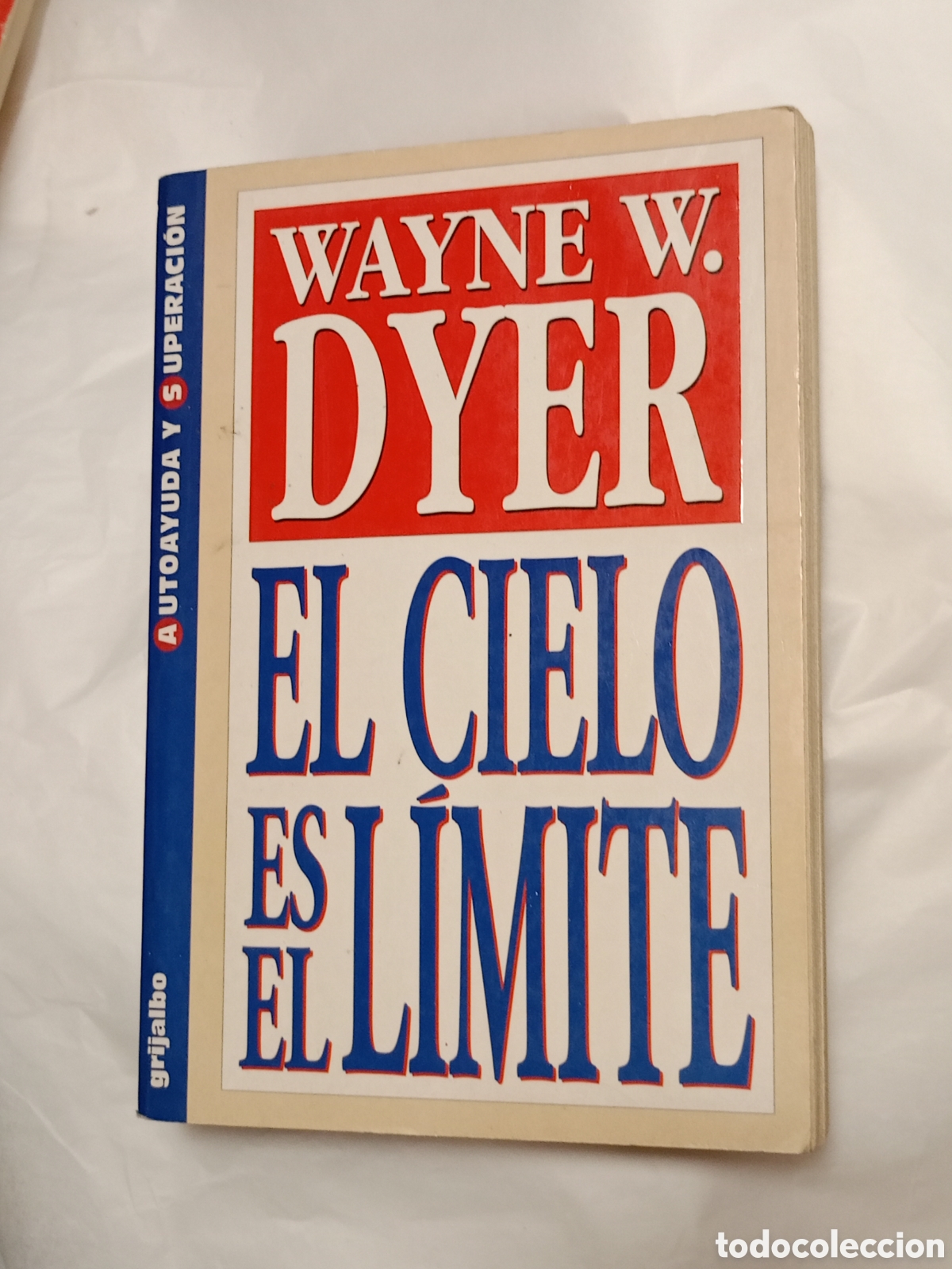Libros de segunda mano: EL CIELO ES EL LIMITE .DR WAYNE W DYER