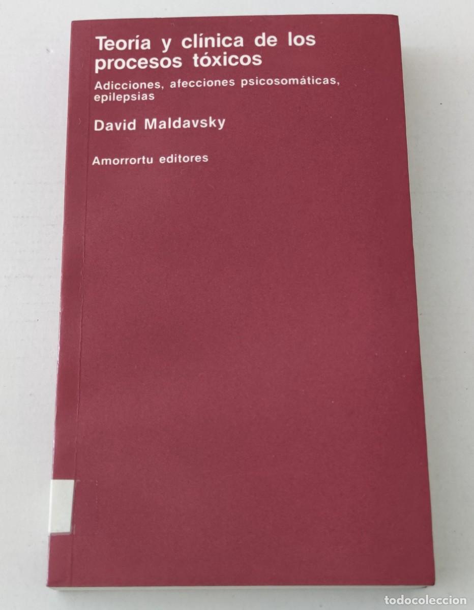 Libros de segunda mano: TEOR&Iacute;A Y CL&Iacute;NICA DE LOS PROCESOS T&Oacute;XICOS - DAVID MALDAVSKY - AMORRORTU (PSICOAN&Aacute;LISIS)