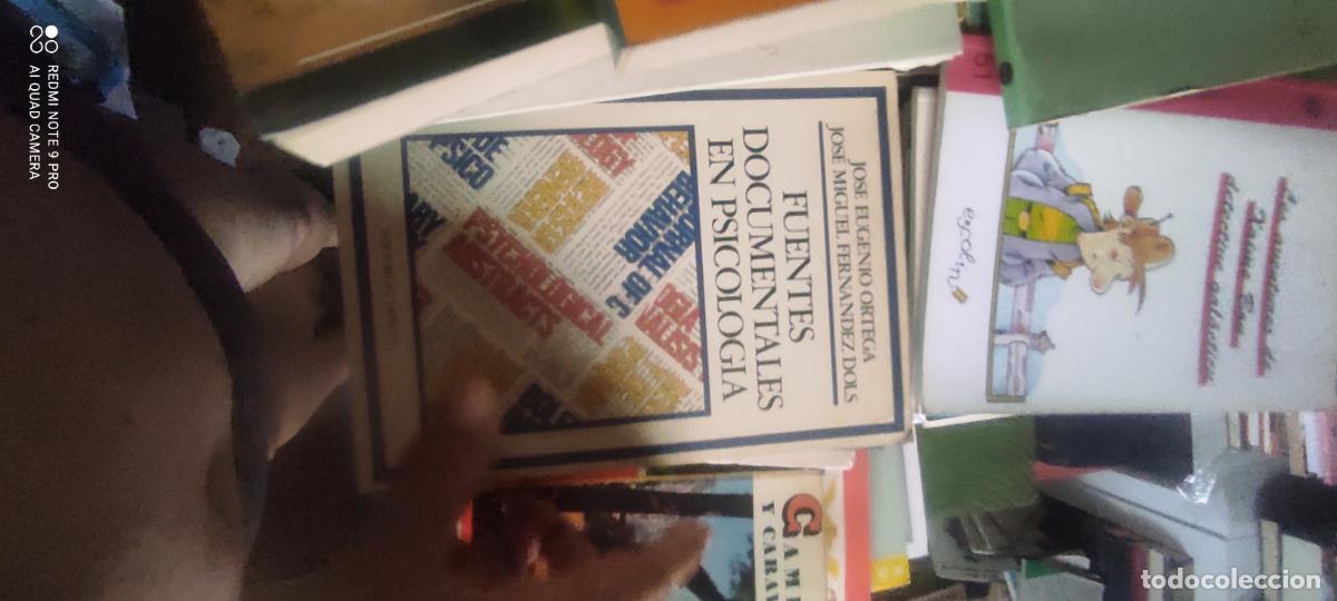 Libros de segunda mano: FUENTES DOCUMENTALES EN PSICOLOGIA. JOSE EUGENIO ORTEGA JOSE MIGUEL FERNANDEZ DOLS. ED. DEBATE. 1980