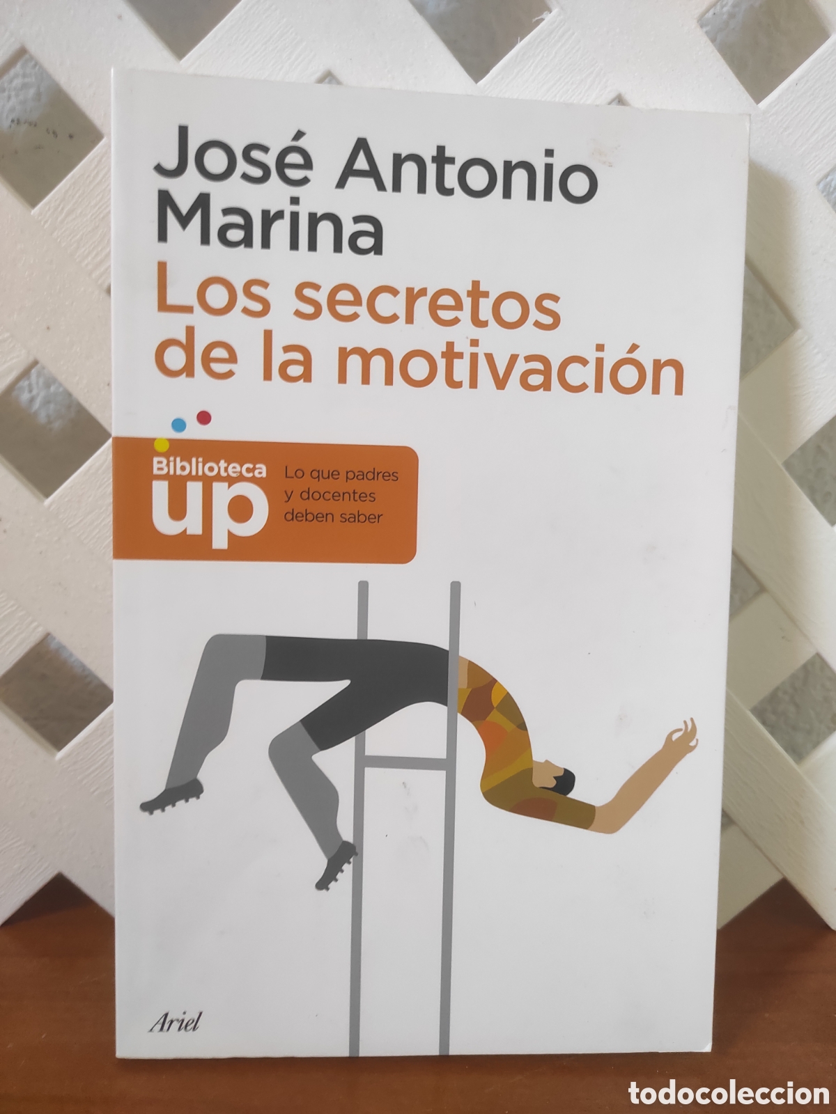 Libros de segunda mano: Los secretos de la motivaci&oacute;n.- Marina, Jos&eacute; Antonio (PEDIDO MINIMO 10&euro;)