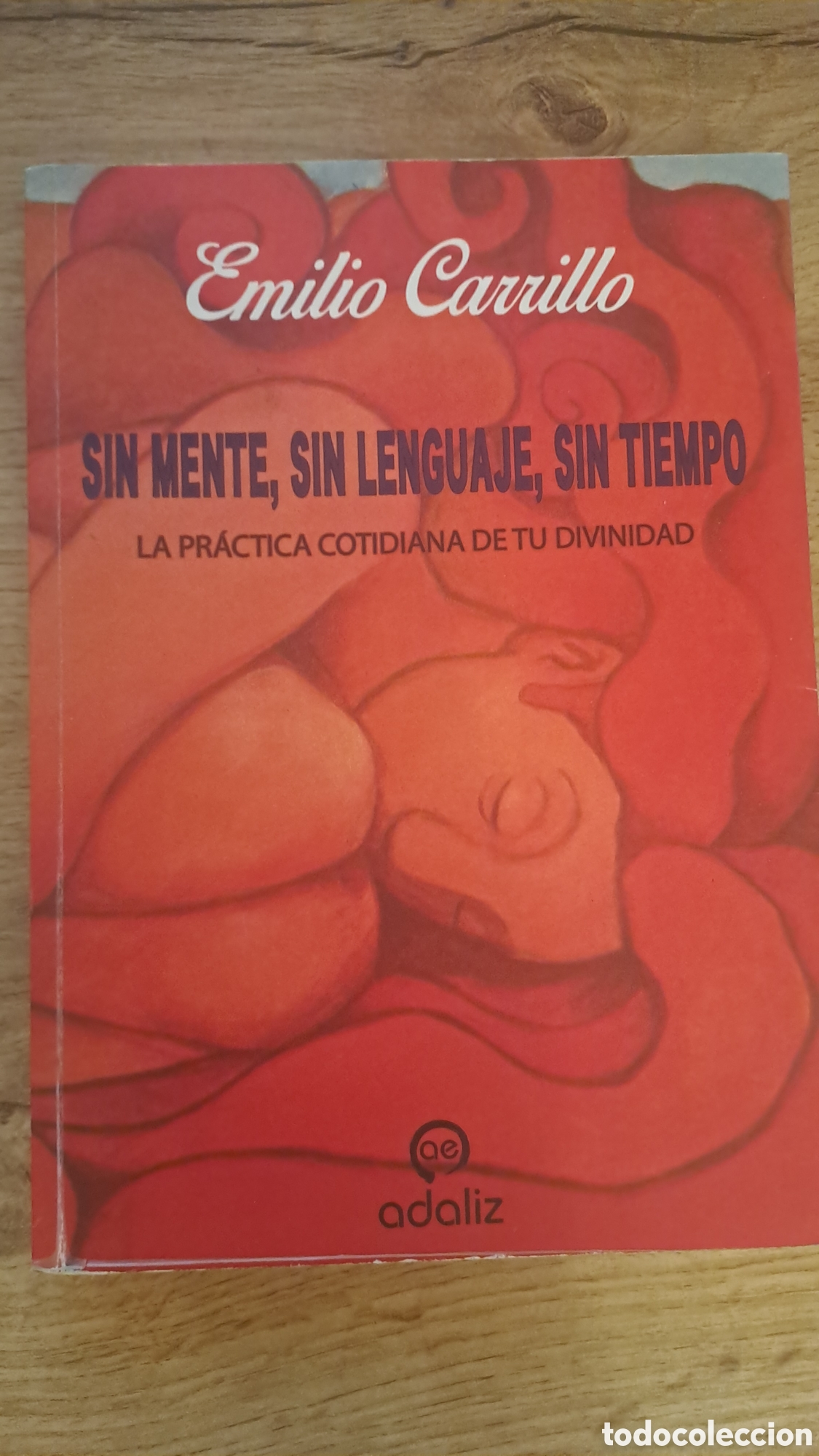 Libros de segunda mano: Sin mente, sin lenguaje, sin tiempo. La practica cotidiana de tu divinidad - Emilio Carrillo -Adaliz