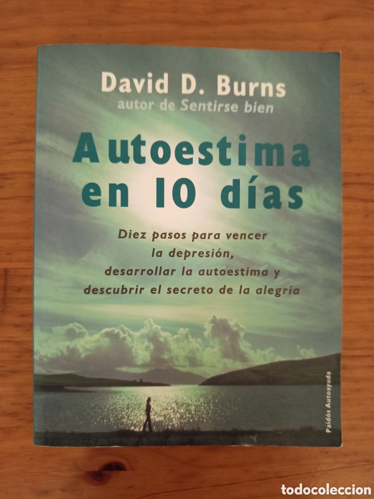 Libros de segunda mano: AUTOESTIMA EN 10 DIAS (DAVID D. BURNS)