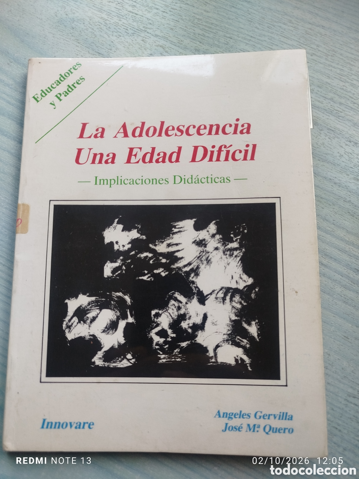 Libros de segunda mano: La adolescencia una edad dificil