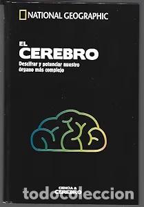 Libros de segunda mano: El cerebro: descifrar y potenciar nuestro &oacute;rgano m&aacute;s complejo - Jos&eacute; Viosca - RBA / National Geograp