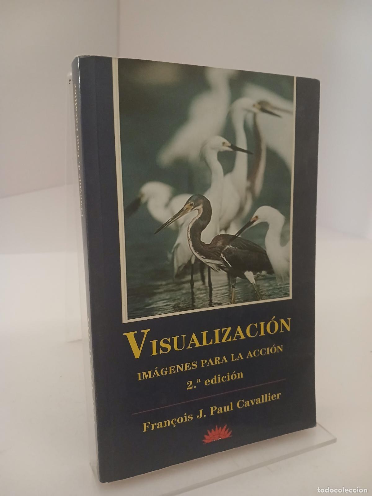 Libros de segunda mano: Visualizacion Imagenes Para la Accion - Fran&ccedil;ois J. Paul-Cavallier