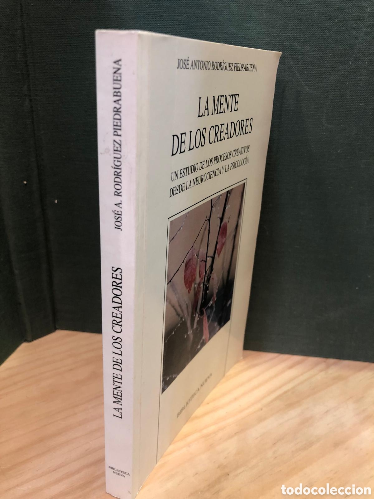 Libros de segunda mano: La mente de los creadores. Un estudio de los procesos... - Jos&eacute; Antonio Rodr&iacute;guez Piedrabuena